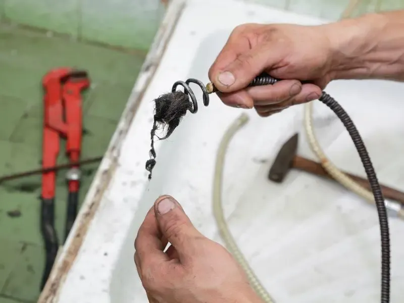 Des cheveux retirés d’un drain obstrué par un plombier.
